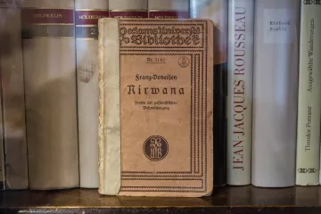 Nirwane - Perlen der pessimistischen Weltanschauung von Franz Doneisen
