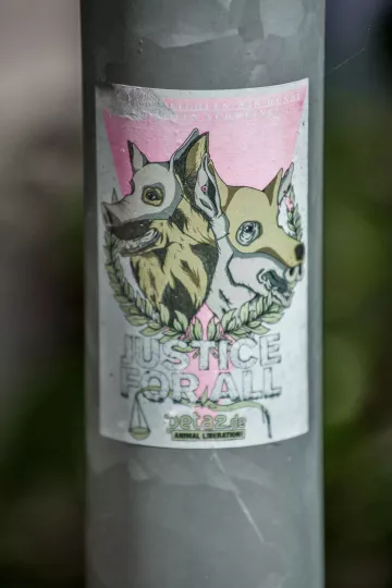 Ein Spucki klebt an der Stange eines Verkehrschildes.