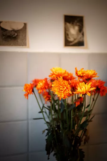 Ein Blumenstrauß in der Küche der Wohnung in Leipzig Lindenau.