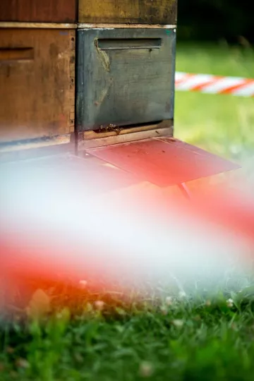 Ein Absperrband dient als Hinweis auf die Bienenstöcke.