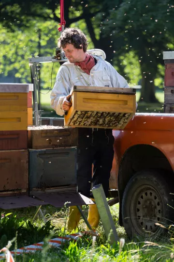 Christopher Mann bei seiner Arbeit als Imker im Clara-Zetkin-Park in Leipzig.