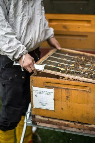 Christopher Mann bei seiner Arbeit als Imker im Clara-Zetkin-Park in Leipzig.
