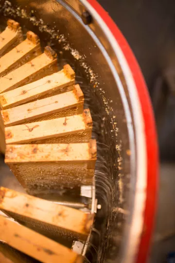 Dank der Schwerkraft läuft der Honig in den darunter liegenden Container, so dass er später nur noch gefiltert und abgefüllt werden muss.