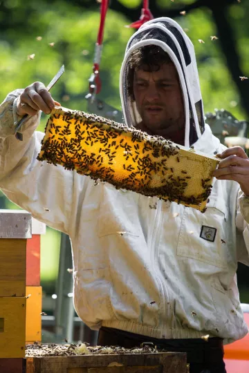Christopher Mann bei seiner Arbeit als Imker im Clara-Zetkin-Park in Leipzig.