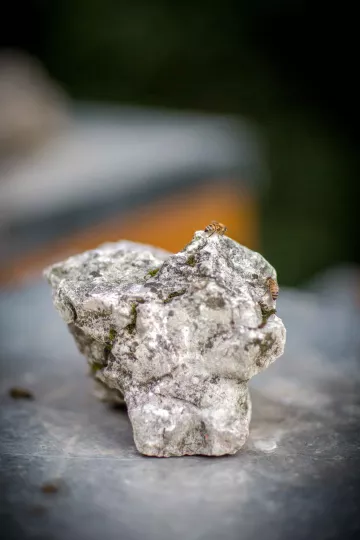 Detailaufnahme eines Stein zur Beschwerung des Bienenstocks.