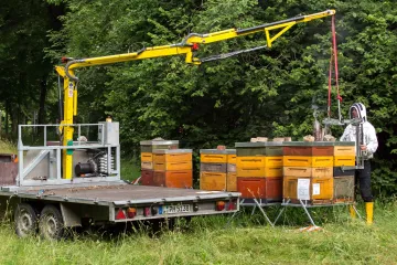 Christopher Mann bei der Arbeit im Clara-Zetkin-park in Leipzig.