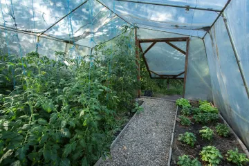 Ökologischer Landbau im Gemeinschaftsgarten.