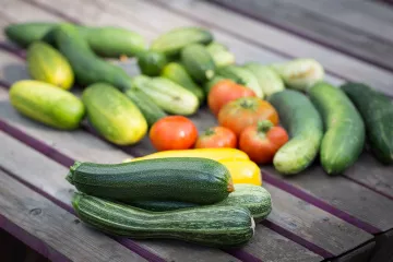 Zuchini, Tomaten, Salate, Kartoffeln. Alles wächst prächtig im Garten.