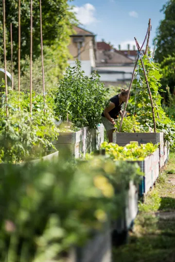 Mobile Pflanzkübel im Gemeinschaftsgarten Annalinde in Leipzig Lindenau.