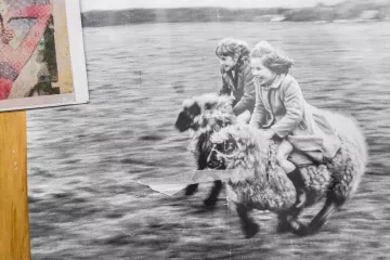 Ein altes Foto auf dem zwei Mädchen zu sehen sind, auf Schafen über eine Wiese reiten.