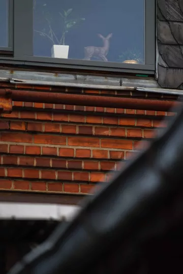 Detailaufnahme eines Fensters im Tapetenwerk.