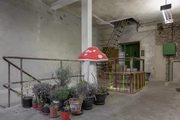 Pflanzen im Treppenhaus eines Gebäudes im Tapetenwerk Leipzig.