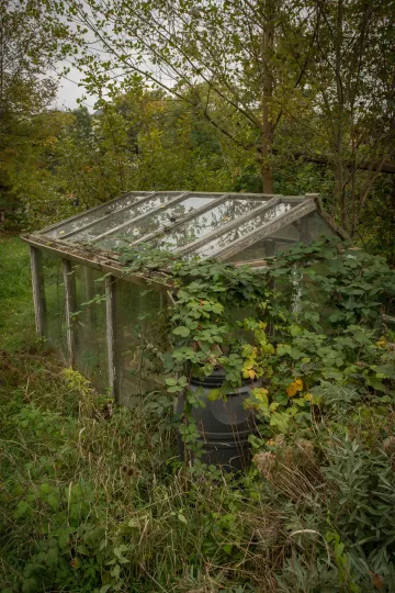 Ein Gewächshaus in den Nachbarschaftsgärten im Herbst 2015.