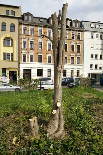 Blick auf das geräumte Gelände der Nachbarschaftsgärten Leipzig Lindenau.