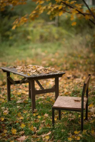 Eine belaubte Sitzgruppe in den Nachbarschaftsgärten Leipzig.
