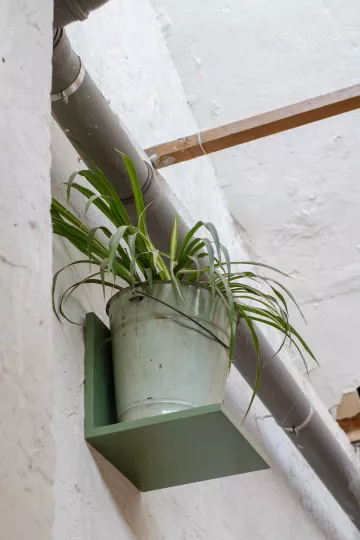 Auch Pflanzen haben ihren Platz in der Tischlerei.