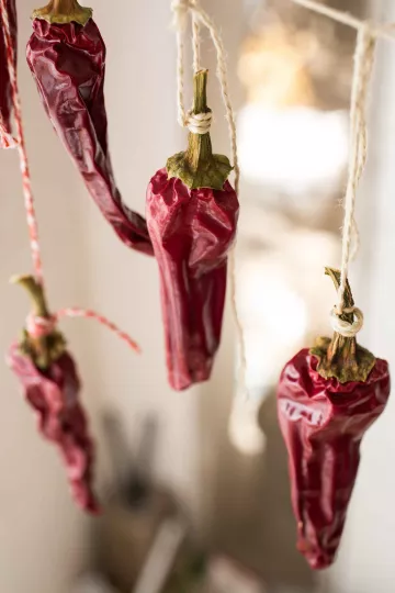 Später mahlt sie die getrockneten Schotten zu Paprikapulver