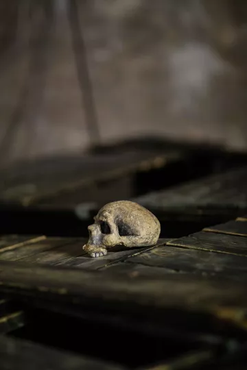 Detailansicht der Bühne des Stücks EXIT im Westflügel Lindenfels.