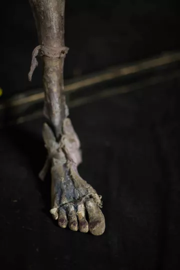 Detailansicht eines Requisits aus dem Stück EXIT.