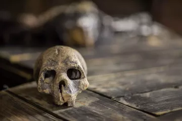 Detailansicht eines Requisits aus dem Stück EXIT. Eine Hameletphantasie, das zur Zeit im Westflügel Leipzig in Lindenau gespielt wird.